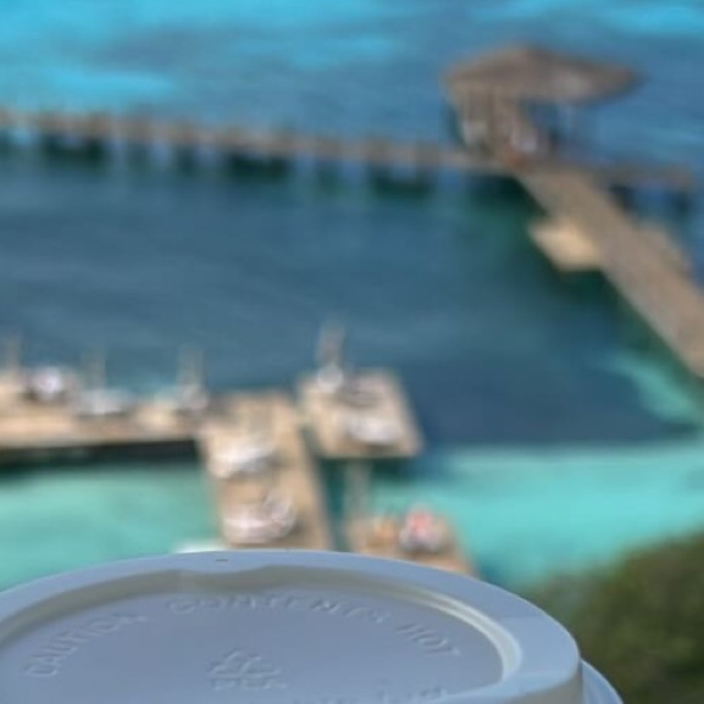 Meet your Posher, Shaishav